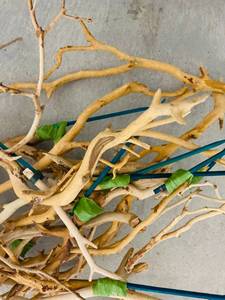lot 320 image: Decorative Wood Pieces