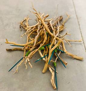 lot 325 image: Decorative Wood Pieces