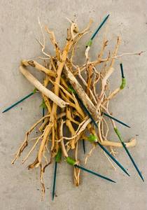 lot 335 image: Decorative Wood Pieces