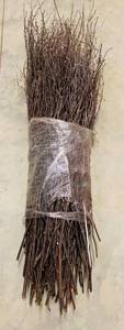 lot 401 image: Bundle of Decorator Branches