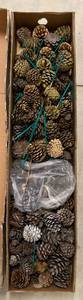 lot 414 image: Large Box of Pinecones