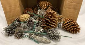 lot 415 image: Box of Pinecones