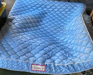 lot 499 image: California King Tube Waterbed