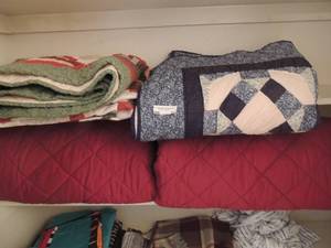 lot 47 image: 2 quilts. One christmas colors and one blue and white