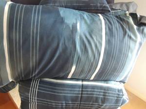 lot 67 image: Blue and white queen bed set- 2 throw pillows comforter and 2 shams