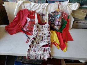 lot 97 image: Adult Halloween Costumes as shown
