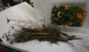 lot 250 image: Peacock Feathers and Artificial flowers as shown
