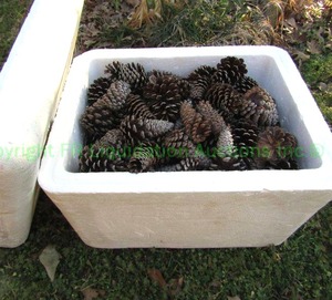 lot 22 image: Crafting pine cones