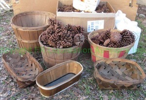 lot 309 image: Assorted baskets and crafters pine cones