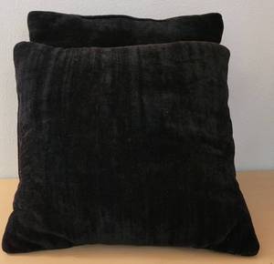 lot 19 image: LOT OF 2 ACCENT PILLOW CUSHIONS IN STYLE, COLOR, AND CONDITION SHOWN. (YOUR BID X 2)