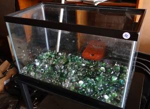 lot 32 image: 20 GALLON FISHTANK WITH COLORFUL GLASS GEMSTONES
