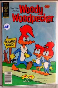 lot 258 image: 1978 -  Woody Woodpecker #172 Gold Key Comics $$$