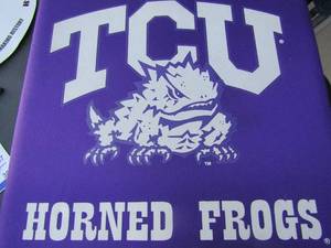 lot 293 image: Two TCU horned frog stadium seat