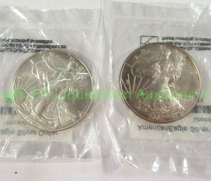 lot 494 image: Silver 1oz. American eagle walking liberty coins (Bid is times the quantity of 2)