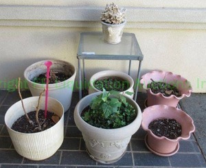 lot 782 image: Outdoor planters and planter boxes. Includes concrete with Oklahoma state bas relief and one with rams head handles