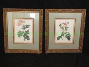 lot 237 image: Framed Botanical prints, 19 x 22 each
