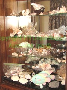 lot 466 image: Sabino French opalescent art glass fish and assorted shells, rock specimens, displays and more as shown, generous quantity