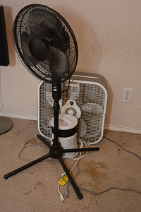 lot 178 image: Honeywell Space Heater, Two Box Fans, Rotating Fan