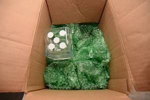 lot 23 image: 6 Dice Glass Drinking Cups