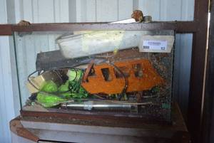 lot 52 image: 10 Gal. Fish Tank and Contents