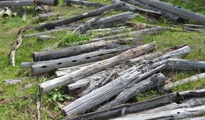 lot 176 image: Wood Fence Poles, Used