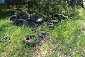 lot 197 image: Misc. Tires in various sizes as shown