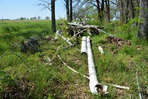 lot 227 image: PVC Pipes in various sizes and lengths