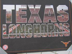 lot 110 image: Texas Longhorns Canvas 19x15