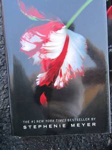 lot 162 image: Stephanie Meyer books - New Moon, Breaking Dawn