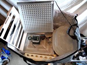 lot 183 image: BAG FULL OF INCUBATOR EQUIPMENTTRAYS AND BRIGHT LED LIGHT - ALL WORKING