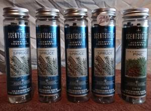 lot 296 image: COLLECTION OD SCENTSICLES SCENT STICKS - SPRUCE & PINE (5)