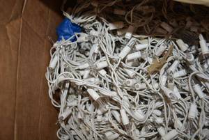 lot 103 image: 5 Boxes of Clear Christmas Lights