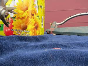 lot 52 image: Water sprinkler, miracle grow, porch light  and more