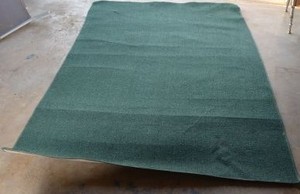 lot 55 image: Green Area Rug (5 x 8)
