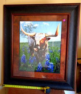 lot 86 image: LARGE TEXAS LONGHORN AMONGST THE BLUE BONNETS IN CUSTOM FRAME UNDER GLASS - FRAME MATCHES LOT 2