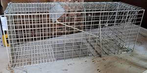 lot 75 image: LARGE SIZE ANIMAL TRAP AS SHOWN.