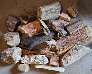 lot 775 image: INTERESTING LOT OF PETRIFIED WOOD PIECESSECTIONS AS SHOWN.