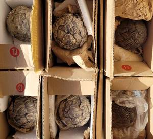 lot 961 image: LOT OF 6 DECORATIVE SPHERES IN STYLES AND COLORS SHOWN. (YOUR BID X 6)