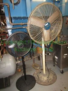lot 247 image: Standing warehouse floor fans - includes Patton (Model 1010MP), tallest is 6ft