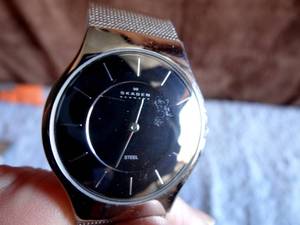 lot 113 image: SKAGEN 233LSSB Steel Mens Watch