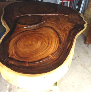 lot 1 image: LARGE- 4-Thick Live Edge, Cut Wood, Slab Dining Room Table, With Gold Tone- Steel Legs