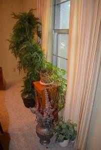 lot 22 image: Live and Artificial Plants as shown