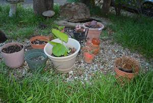 lot 271 image: Outdoor Plant Pots Plastic and Terracotta