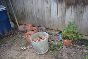 lot 285 image: Outdoor Plant Pots