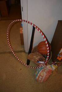 lot 257 image: Baseball Glove and Bat, Hula Hoop, Mac Gregor Basketball, Playskool Colored Blocks