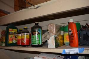 lot 303 image: Contents of Shelf Bug Killer, Windex Outdoor Spray, Chain Saw Oil and More