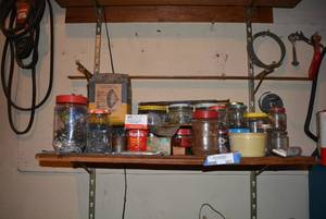 lot 307 image: Contents of Shelf Variety of Nails, Gaskets, Bolts and More