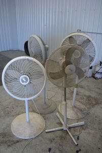 lot 96 image: 4 Standing Fans