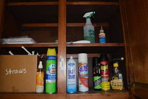 lot 15 image: Cleaning Supplies and Bug Spray
