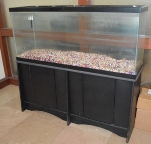 lot 26 image: Large Fish Tank with Stand and Accessories looks to be a 50 gal tank